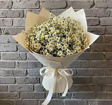 Букет цветов из:  Ромашки #REPLACE_PRED# Зее